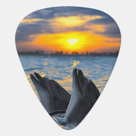 The Bottle-nosed Dolphins In Sunset Light Guitar Pick