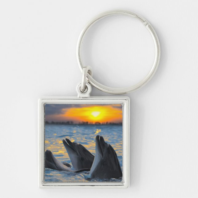 The bottle-nosed dolphins in sunset light keychain (Front)