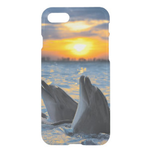 The bottle-nosed dolphins in sunset light iPhone SE/8/7 case