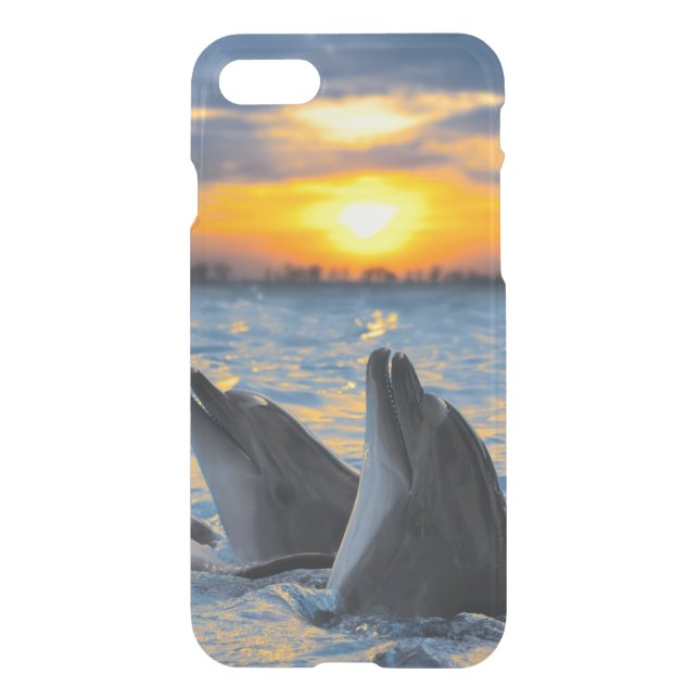 The bottle-nosed dolphins in sunset light uncommon iPhone case (Back)