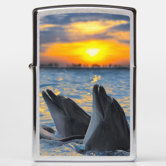 The bottle-nosed dolphins in sunset light zippo lighter (Front)