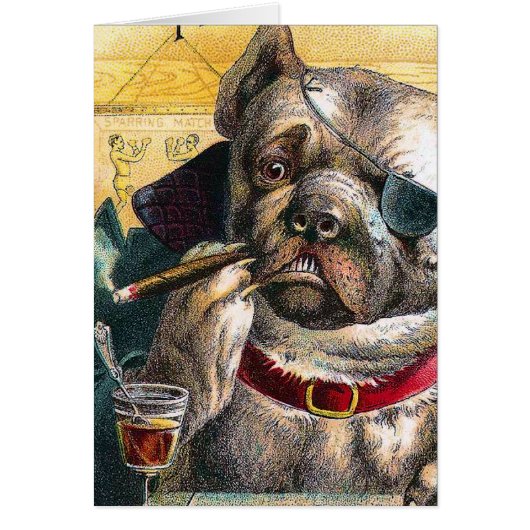 The Bouncer Dog Cards (Front)
