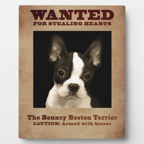The Bouncy Boston Terrier Plaque