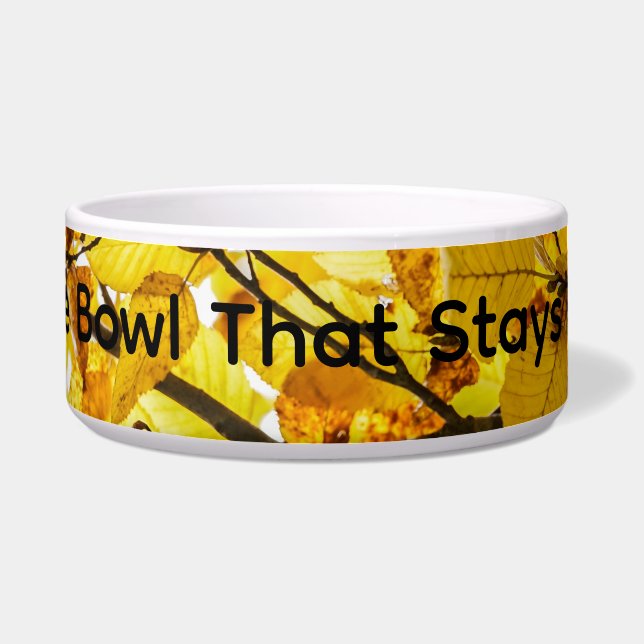 The Bowl That Stays Put – Non-Slip Pet Bowl (Front)