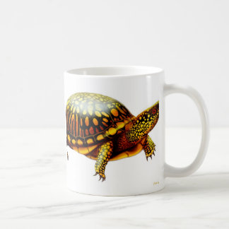 The Box Turtle Mug
