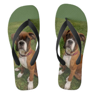 boxer dog slippers