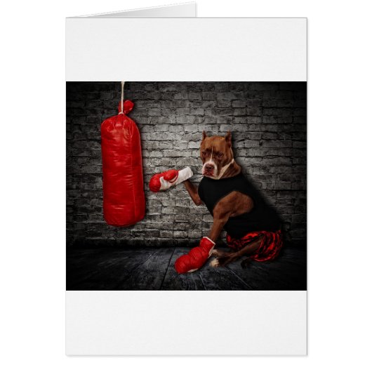 The boxing Pit Cards (Front)