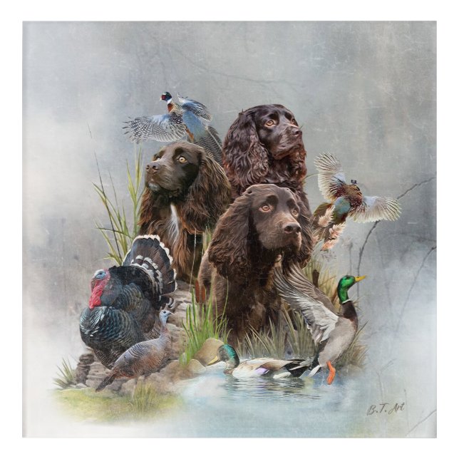 The Boykin Spaniel Acrylic Print (Front)