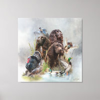 The Boykin Spaniel