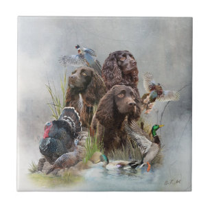 The Boykin Spaniel Ceramic Tile