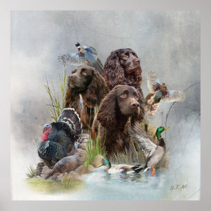The Boykin Spaniel Poster
