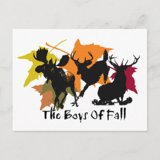 The Boys Of Fall Postcard