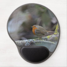 The bra on your desk