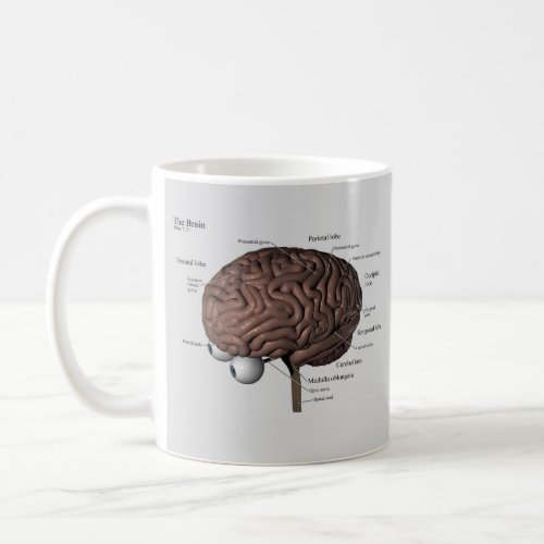 The Brain Geek Coffee Mug