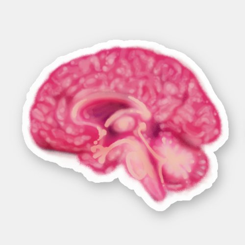 The brain pattern sticker