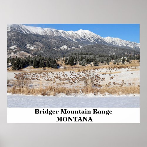 The Bridger Mountain Range in Montana Poster