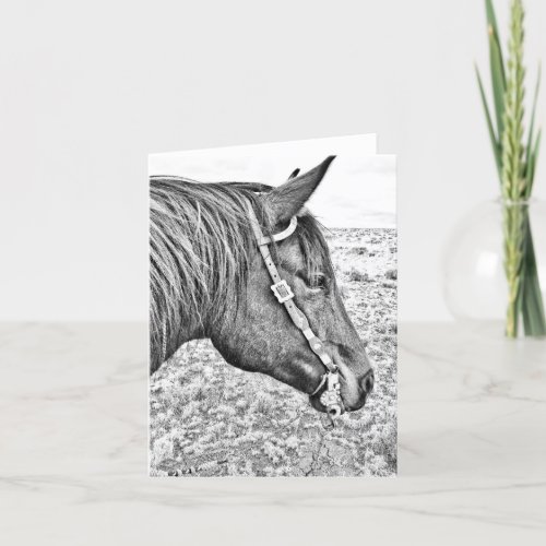 The Bridle Horse Blank Note Card