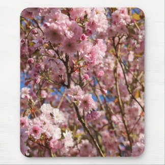 The bright Spring color of cherry blossom Mouse Pad