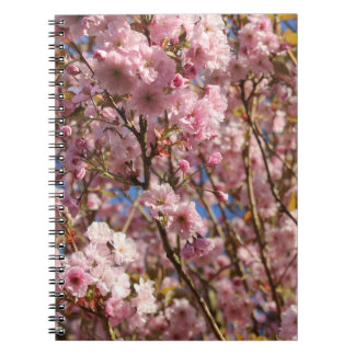 The bright Spring color of cherry blossom Notebook
