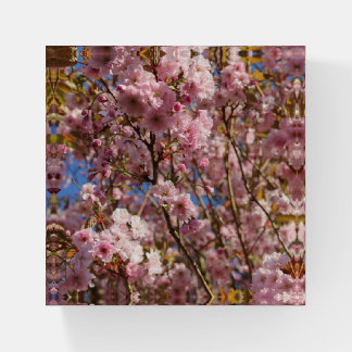 The bright Spring color of cherry blossom Paperweight