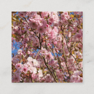 The bright Spring color of cherry blossom Square Business Card
