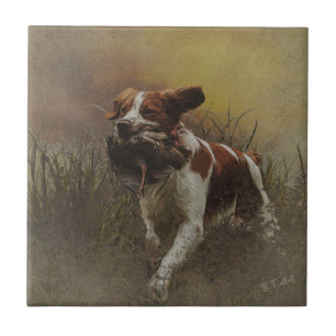 The Brittany spaniel Ceramic Tile