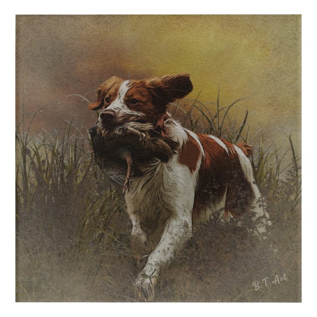 The Brittany spaniel    Ceramic Tile Beverage Coas Acrylic Print (Front)