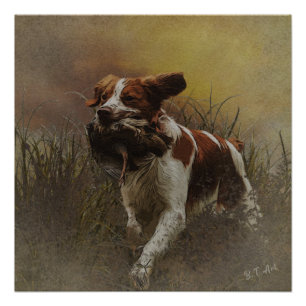 The Brittany spaniel Ceramic Tile Beverage Coas Poster