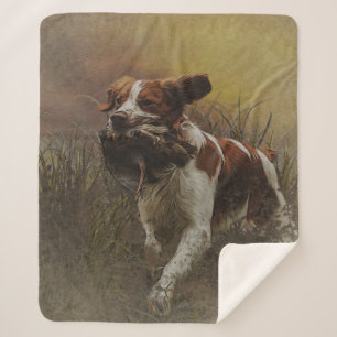 The Brittany spaniel    Ceramic Tile Beverage Coas Sherpa Blanket