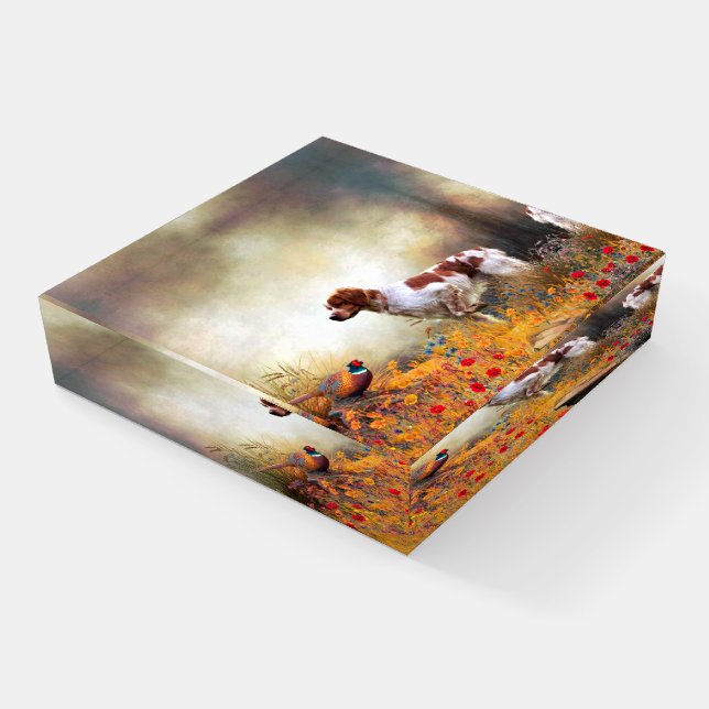 The Brittany spaniel Paperweight (Angled)