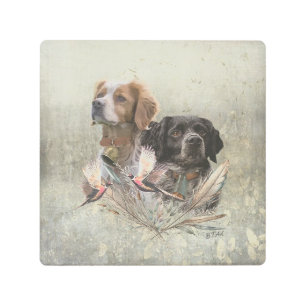 The Brittany Spaniels, French Brittany, Bird dog, Metal Print