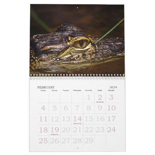 The Bronx Zoo Calendar Zazzle