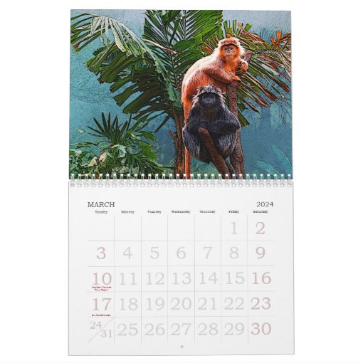 The Bronx Zoo Calendar Zazzle