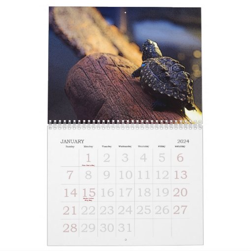 The Bronx Zoo Calendar Zazzle