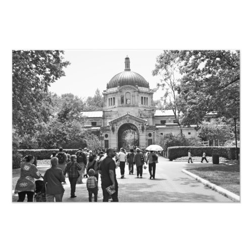 The Bronx Zoo Photo Print