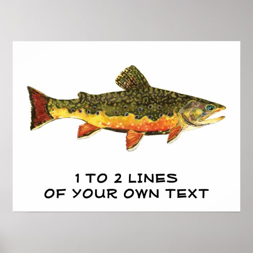 The Brook Trout Poster