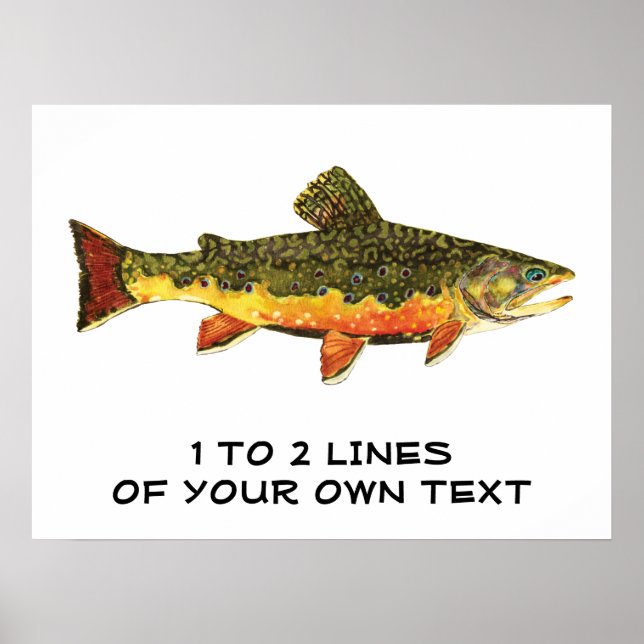 The Brook Trout Poster (Front)
