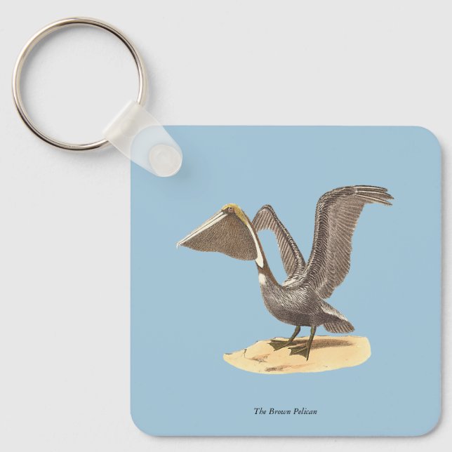 The Brown Pelican (Pelecanus occidentalis) NY Bird Keychain (Front)