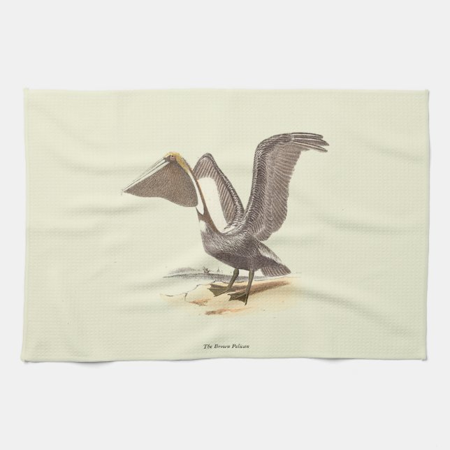 The Brown Pelican (Pelecanus occidentalis) NY Bird Kitchen Towel (Horizontal)