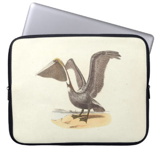 The Brown Pelican (Pelecanus occidentalis) NY Bird Laptop Sleeve