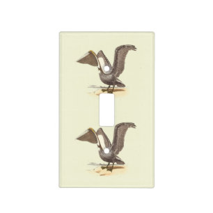 The Brown Pelican (Pelecanus occidentalis) NY Bird Light Switch Cover