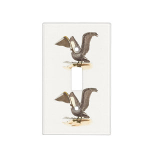 The Brown Pelican (Pelecanus occidentalis) NY Bird Light Switch Cover