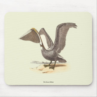 The Brown Pelican (Pelecanus occidentalis) NY Bird Mouse Pad