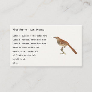 The Brown Thrush or Brown Thrasher, New York Birds Business Card