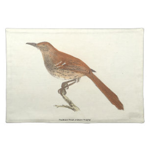 The Brown Thrush or Brown Thrasher, New York Birds Cloth Placemat