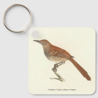 The Brown Thrush or Brown Thrasher, New York Birds Keychain