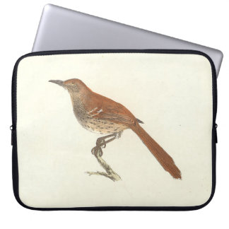 The Brown Thrush or Brown Thrasher, New York Birds Laptop Sleeve