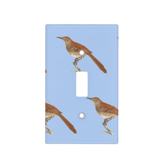 The Brown Thrush or Brown Thrasher, New York Birds Light Switch Cover (Front)