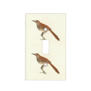 The Brown Thrush or Brown Thrasher, New York Birds Light Switch Cover