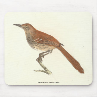 The Brown Thrush or Brown Thrasher, New York Birds Mouse Pad